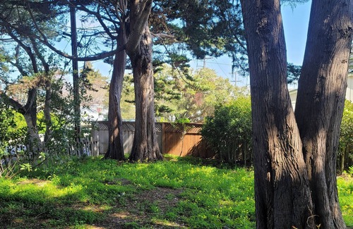 Monterey House | Monthly Rental - Great for extended staysnClose to Downtown & Attractionsn