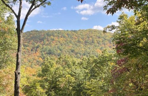 Montreat House | Montreat Round House - mountain views, renovated