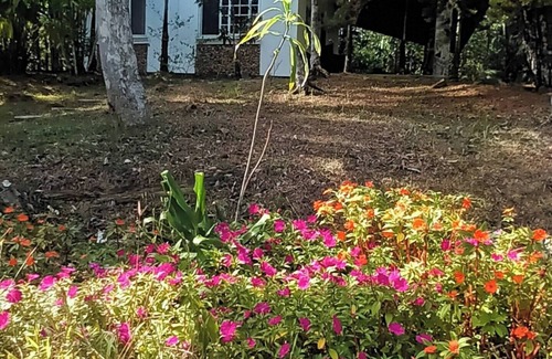 Juan Diaz House | Moon House River Dreams Cerro Azul