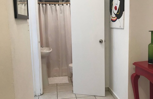 Eleanor Roosevelt Apartment | Moon Roosevelt Downtown local-urban humble area 1-bedroom apartment in San Juan