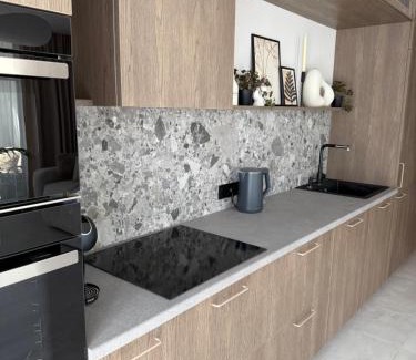 Panevezys Apartment | Moonlight Apartment - Parko rezidencija SELF CHECK IN