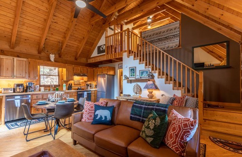 Fleetwood Cabin | Moonlight Lodge - pet-friendly, private, hot tub, fire pit, views between Boone and W. Jefferson