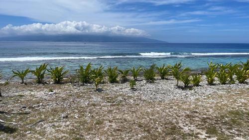 Teavaro Cabin | Moorea Lodge
