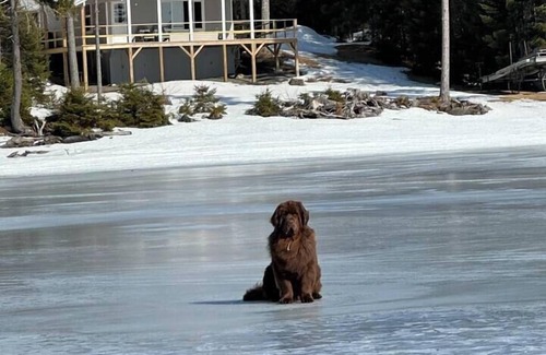 Northwest Piscataquis House | Moosehead Lakefront Camp