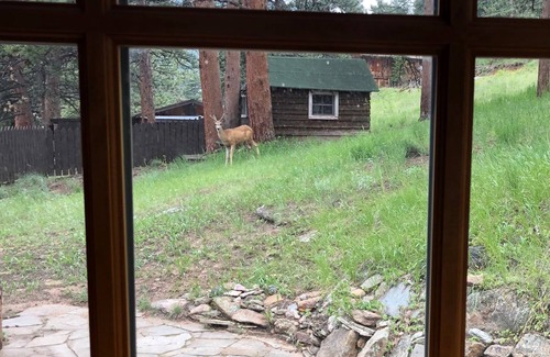 Estes Park Cabin | Moraine Music Cabin - Hike into RMNP! (22-ZONE3294)