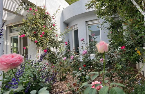 Bnei Dror House | Morden Villa located in the North of Tel Aviv