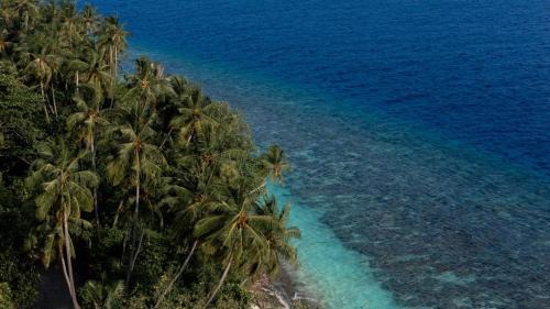 Baa Atoll House | Moro Kihaadhoo
