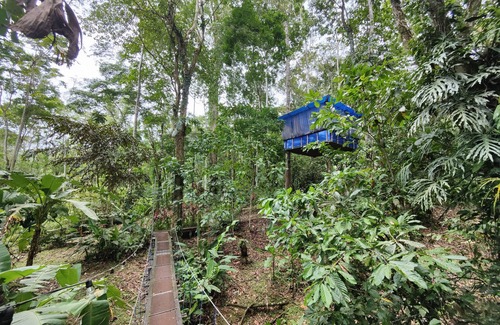 Cocles Cabin | Morpho - adventurous Treehouse with amazing 360 view with pool and wifi access