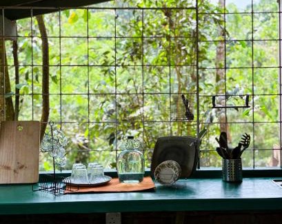 Palindanuwara Other | Moss Forest Cabin Hike&River Escapes with veg meals