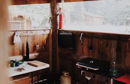 Forks Cabin | Mossquatch Resort - Cabin 1 Upgrade your camping experience!