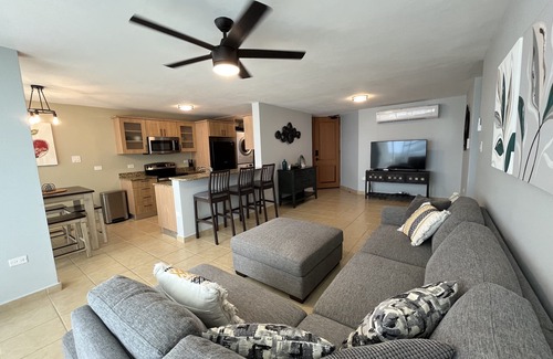 Sardinera Condo | Most Amazing Ocean Views! Open Area & Private, House-sized Condo!