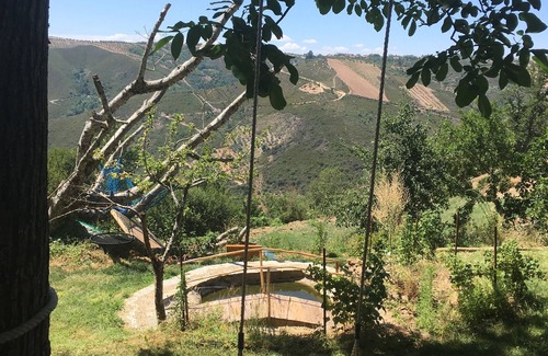 Negreda House | Mosteirinho - Tia Judite. Peace and Quiet