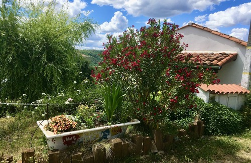 Negreda House | Mosteirinho - Tia Judite. Peace and Quiet