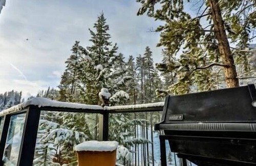East Kootenay Ski Chalet | Mount Brewer View Point