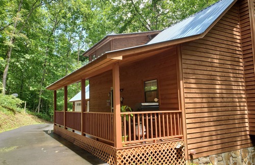 Murphy Cabin | Mountain Creek Retreat - 5 minutes from Downtown Murphy - Secluded