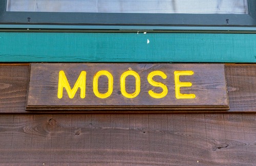 Elkins Cabin | "Mountain Escape: The Moose - Sleeps 11 Guests!"