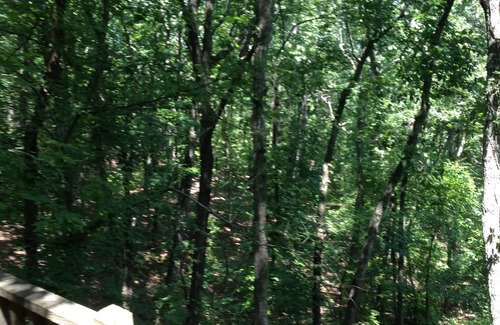 Pine Mountain Ski Chalet | Mountain Hideaway Offering Peace And Quiet, Yet Minutes from Callaway Gardens