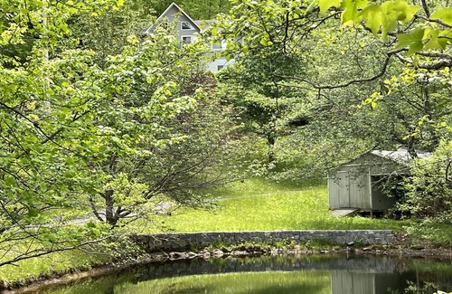 Hemphill Heights House | Mountain home with amazing views, privacy, and pond on the property