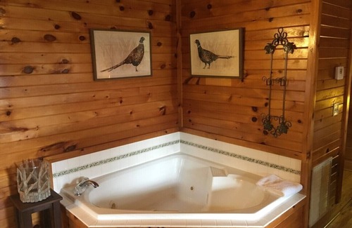 Valley Creek Run House | MOUNTAIN JOY COTTAGES #12 - Feathered Friends