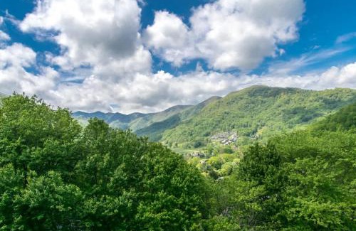 Maggie Valley House | Mountain View 3BR with Sunroom, Close to Ski and Trails