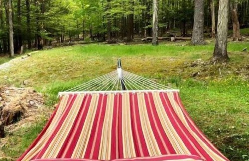 Woodstock Cottage | Mountain view, mid-century style, 1 mile to town!