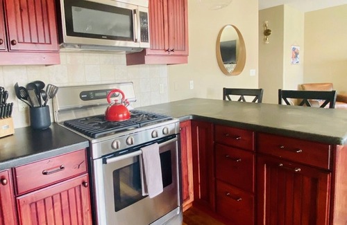 Crested Butte Condo | Mountain View - Walk to Slopes - Hot Tub - Fireplace