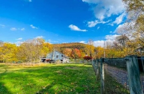Front Royal House | Mountain Views in Buena Vista Farm - Entire Home