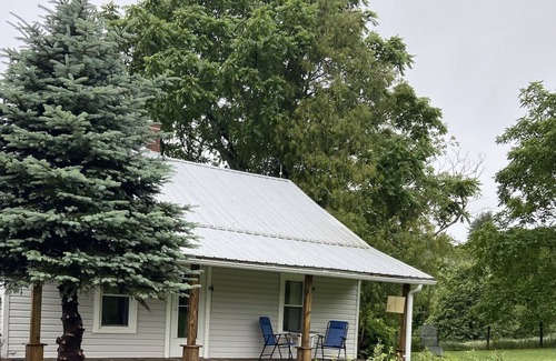 Wilson Creek House | Mountaintop Cottage at near 3500 ft, close to Grayson Highlands & the New River