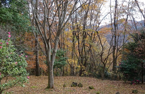 Yokoze House | Mountaintop retreat in Chichibu: just a short hop west of Tokyo