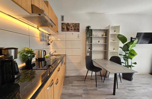 Stuttgart Apartment | MsApartment Stylish wohnen in STUTTGART
