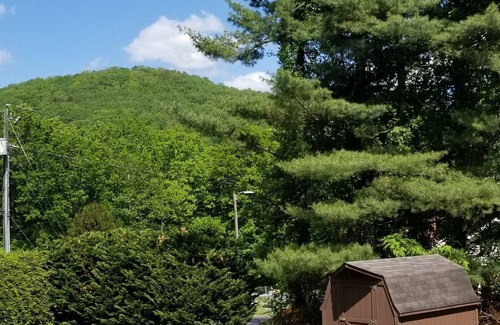 Skyland House | Mtn Retreat with Character and Charisma for only 95 a night