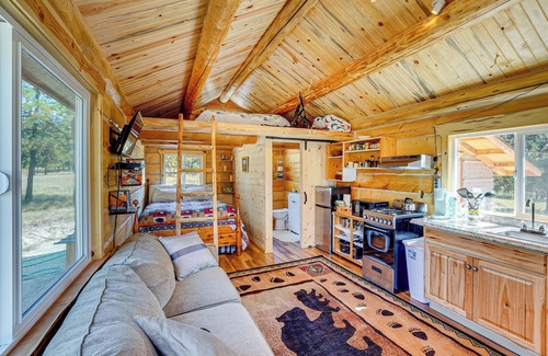 Trout Creek Apartment | Mtn Views & Fireplace: Cozy Trout Creek Tiny Home