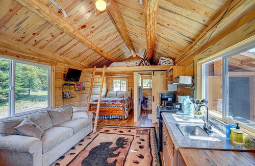 Trout Creek Apartment | Mtn Views & Fireplace: Cozy Trout Creek Tiny Home