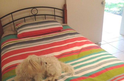Mudjimba House | Mudjimba Beach House pets allowed inside & walk to surf beach