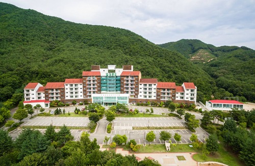 Muju House | Muju Ilsung Condo