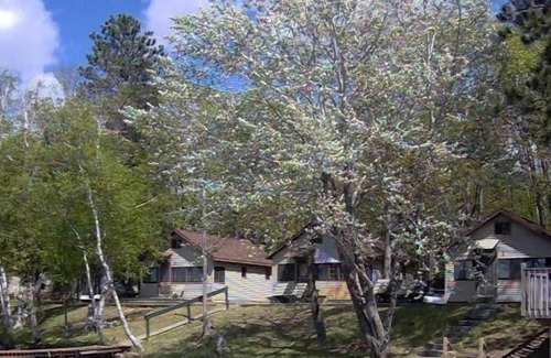 Lewiston Cabin | Multi-Cabin Resort - West Twin Lake