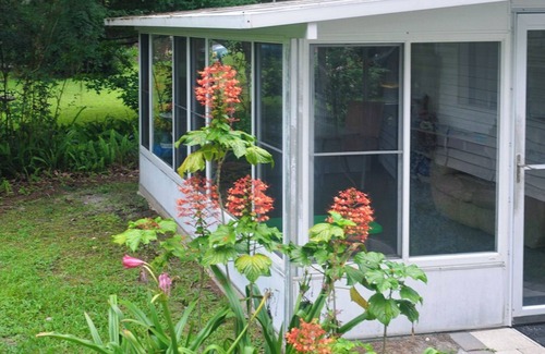 Dunnellon House | Multi-Night Discounts/Comp Days Nov 1 - Mar 1, Pet Friendly/Sleeps 15