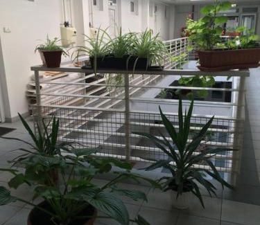 Heviz Apartment | Muskátli Apartmanház