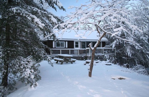 Big Chute Cottage | Muskoka - The Hummingbird Tea Lake cabin