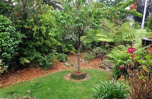 Rotorua House | Mutts, MTBs & Mud Pools | Central & Pet Friendly!