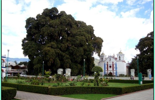 Santa Maria del Tule Apartment | Inn "El Mirador del Tule"