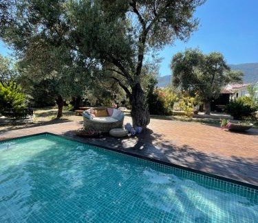 Mesudiye Cabin | My Bungalov