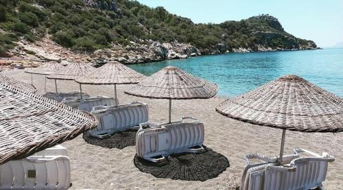 Mesudiye Cabin | My Bungalov