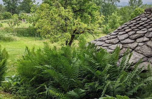 Valette House | My father's barn