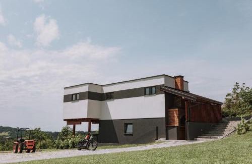 Grabrovnik House | MY HOME ADDL