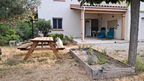 Villalbe House | My Quiet Place near Carcassonne