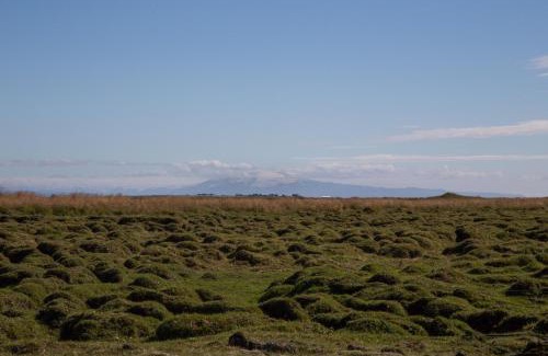 Selfoss House | Myri - Studio Lodge
