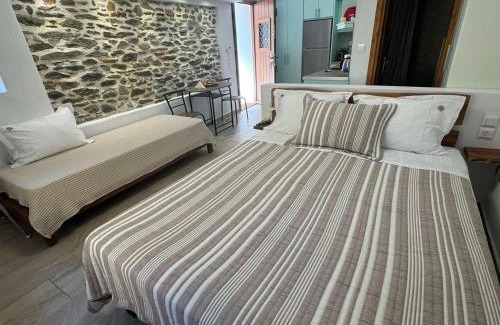 Horto Apartment | Myrsini's Studios in Chorto Pelion