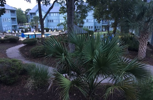 Myrtle Beach Condo | Myrtle Beach Resort Unit 6201 - Ocean Getaway