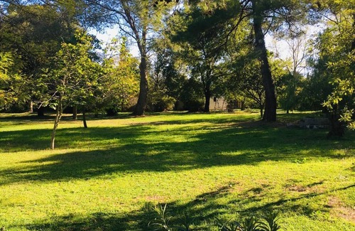 Mottola House | n62/5.000n19th century Masseria with park and swimming pool in Puglia
